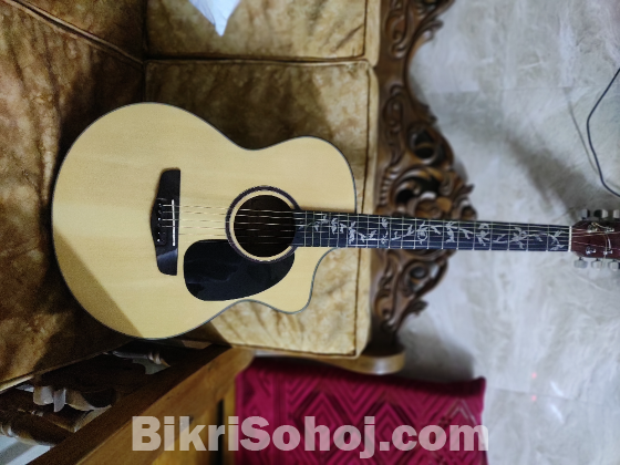 Deviser guitar